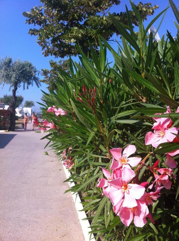 Happy Camping Village Bellaria-Igea Marina Exterior foto